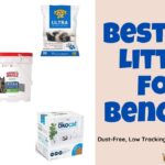 best cat litter for bengals