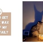 How To Get Candle Wax Out Of My Cat’s Tail