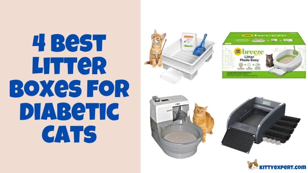 best litter box for diabetic cat