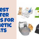 best litter box for diabetic cat