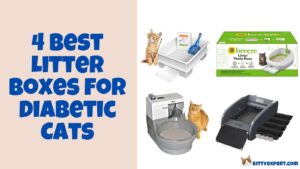 best litter box for diabetic cat