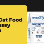 Best Cat Food for Gassy Kitten