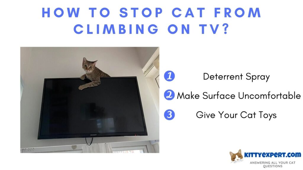 How to Stop Cat From Climbing on TV
