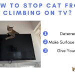 How to Stop Cat From Climbing on TV