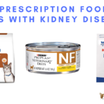 Best Prescription Food for Cats with Kidney Disease