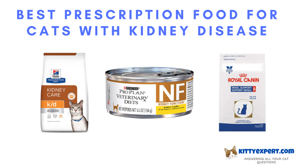 best-prescription-food-for-cats-with-kidney-disease-the-kitty-expert