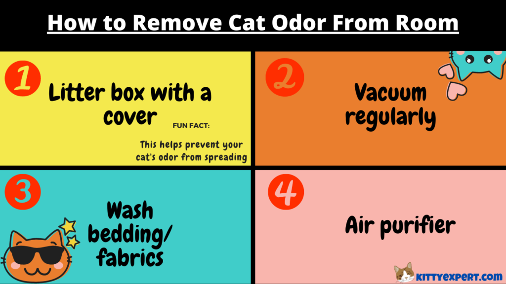 How to Remove Cat Odor From a Room