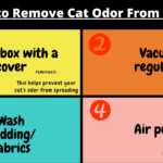 How to Remove Cat Odor From a Room