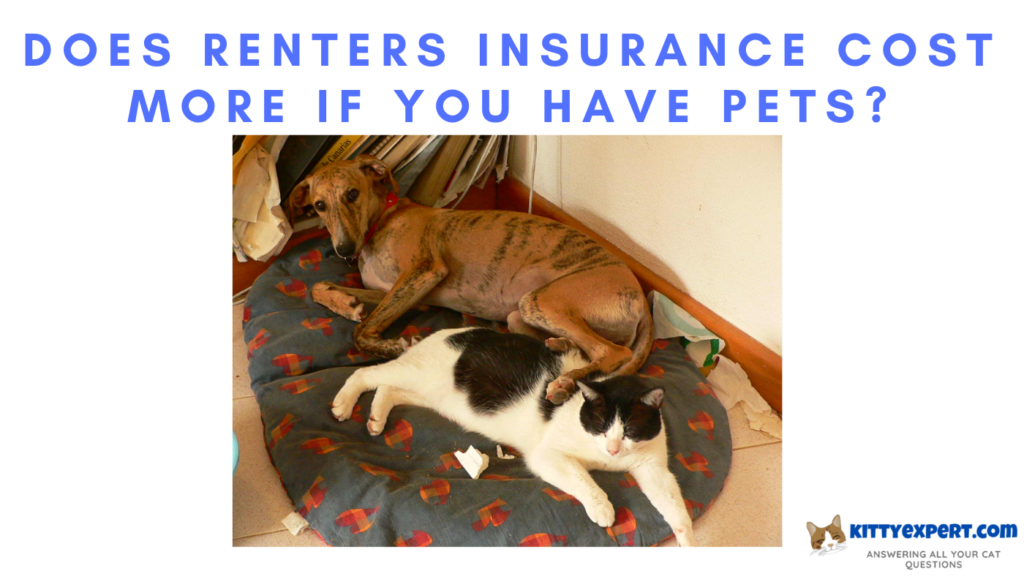 does renters insurance cover pets