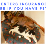 does renters insurance cover pets