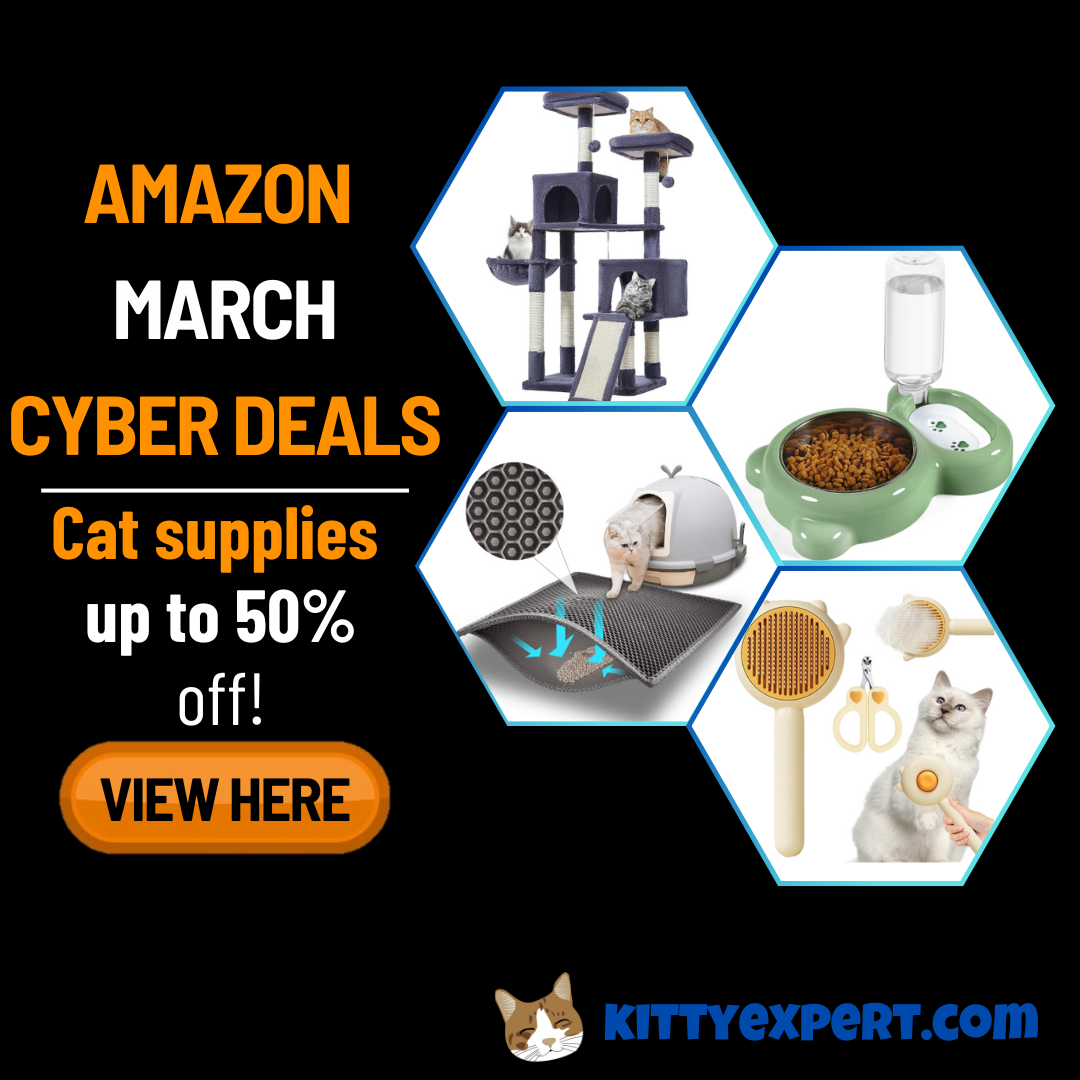 cheap cat supplies