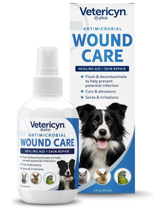 wound care for cat