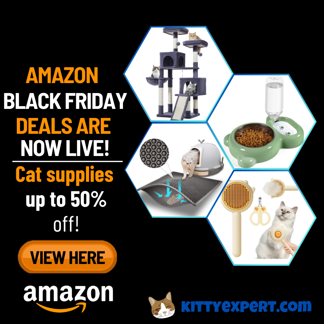 cat supplies black friday deal